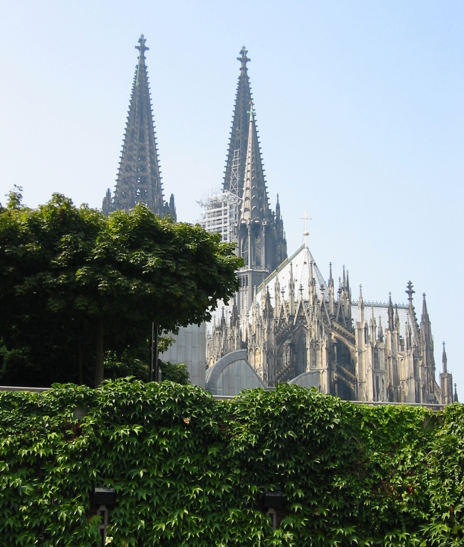 Kölner Dom im Grünen