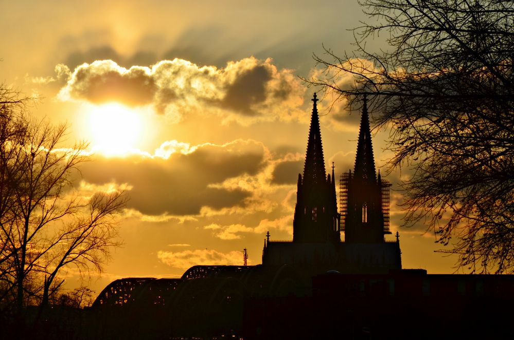 Kölner Dom im Sonnenuntergang 2013