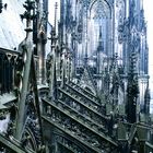 Kölner Dom in 45 m Höhe außen Nordseite