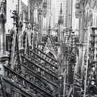 Kölner Dom in 45 m Höhe außen Nordseite (1986)