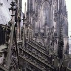 Kölner Dom in 45 m Höhe außen Nordseite