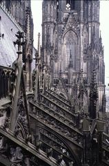 Kölner Dom in 45 m Höhe außen Nordseite