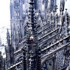 Kölner Dom in 45 m Höhe außen Südseite