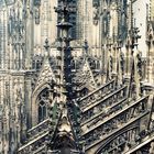 Kölner Dom in 45 m Höhe außen Südseite