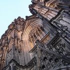 Kölner Dom in der Abendsonne