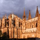 Kölner Dom in der Morgensonne