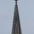 Kölner Dom - Leiter zum Himmel