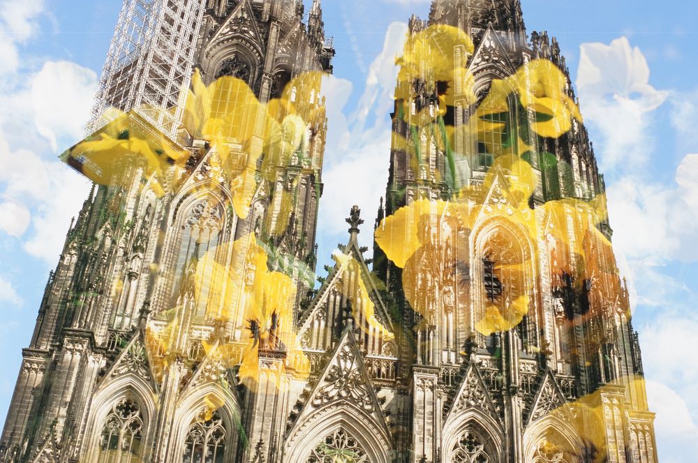 Kölner Dom mit Blumen