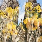 Kölner Dom mit Blumen