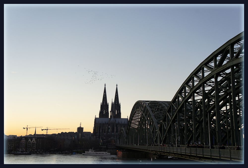 Kölner Dom - Spatzen