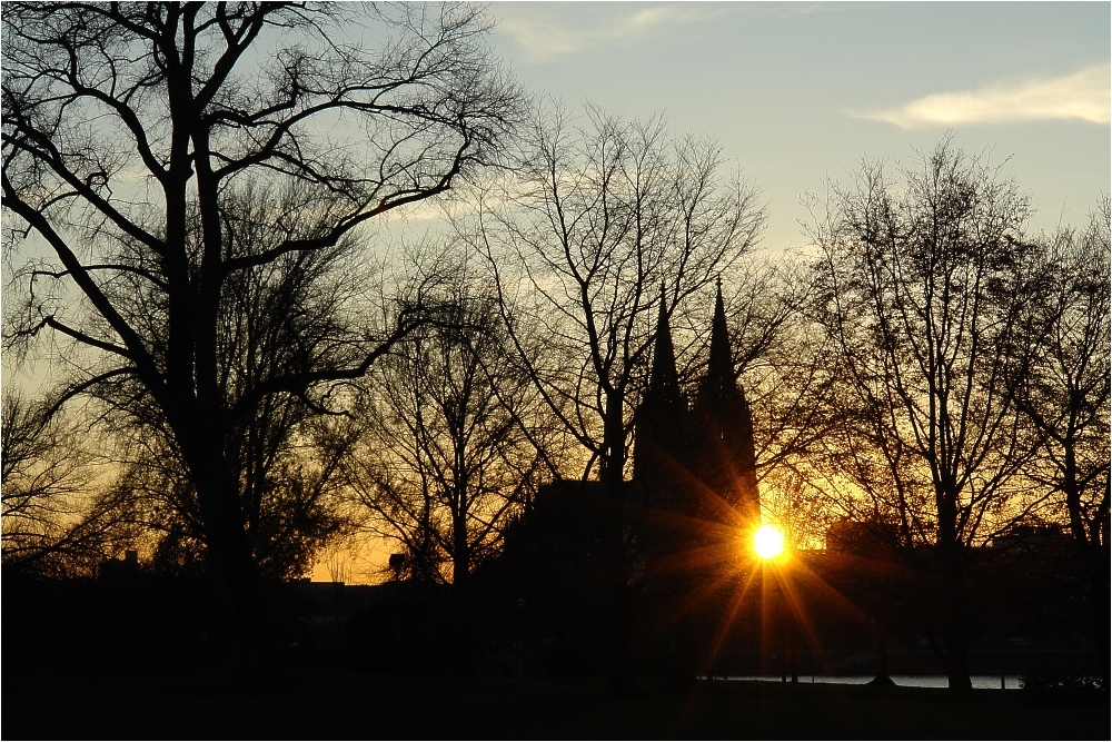 Kölner Dom und Rheinpark bei Sonnenuntergang