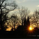 Kölner Dom und Rheinpark bei Sonnenuntergang