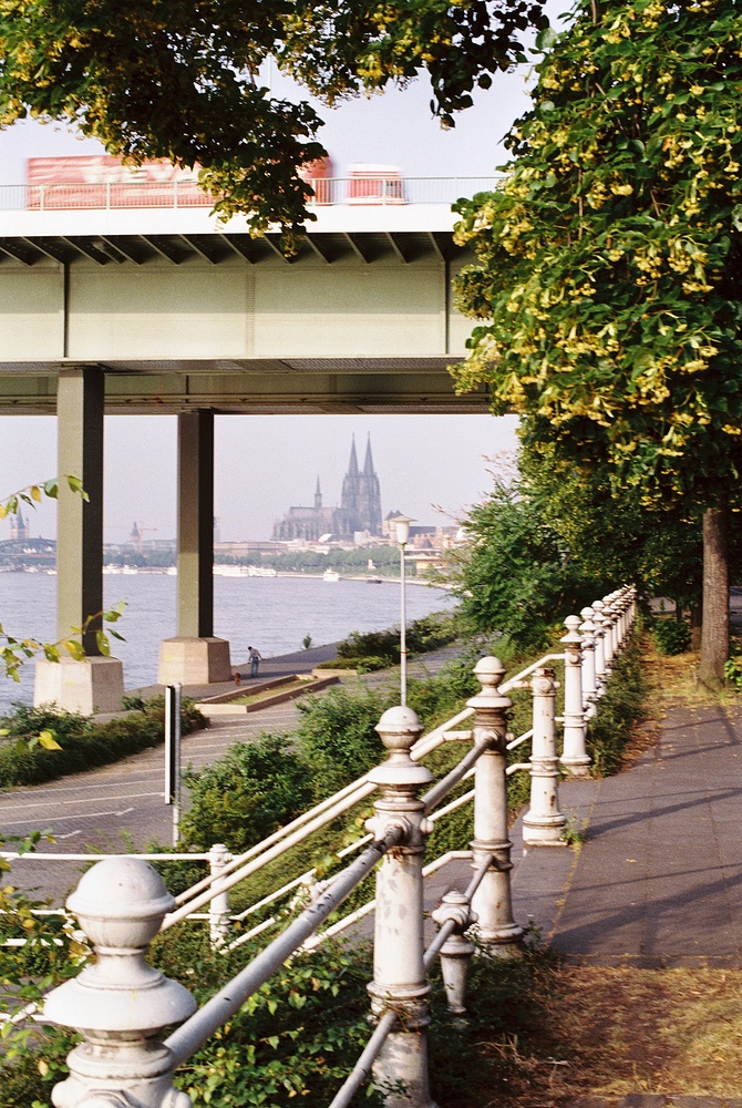 Kölner Dom unter der Zoobrücke durch fotografiert