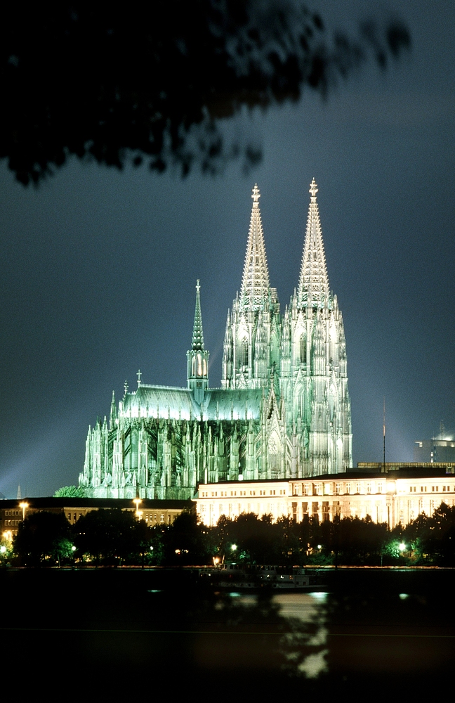 Kölner Dom vom Rheinpark aus fotografiert.