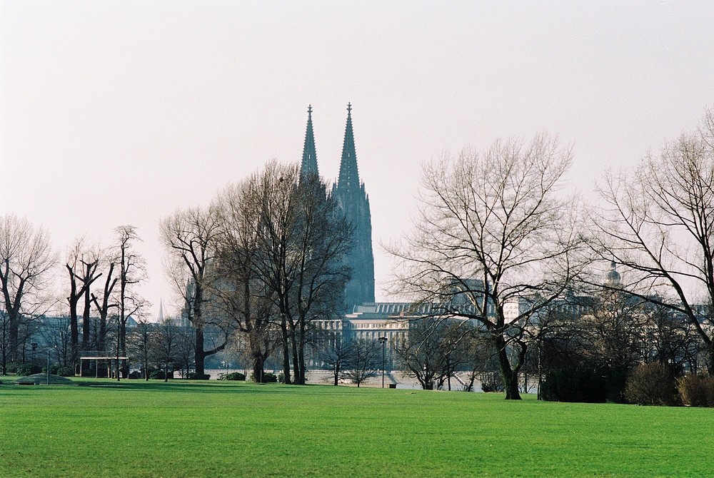 Kölner Dom vom Rheinpark aus fotografiert