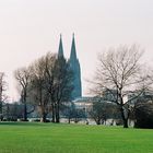 Kölner Dom vom Rheinpark aus fotografiert