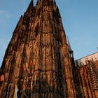 Kölner Dom von der untergehenden Sonne beleuchtet