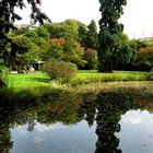 Kölner Flora / Der Jahreszeitenwechsel ist nicht mehr weit