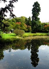 Kölner Flora / Der Jahreszeitenwechsel ist nicht mehr weit