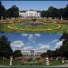 Kölner Flora-Haus ALT und NEU