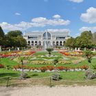 Kölner Flora -  Heute war ich mal wieder im Botanischen Garten von Köln ...