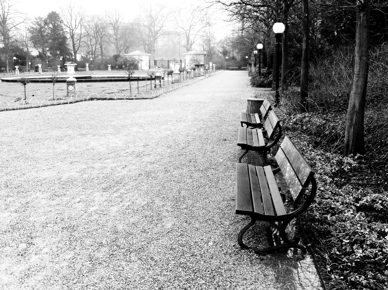 Kölner Flora im Dezember