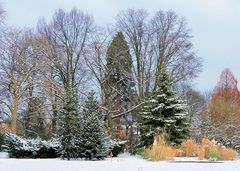 Kölner Flora im Winter 1