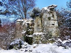 Kölner Flora im Winter 2