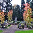 Kölner Friedhof im Herbst