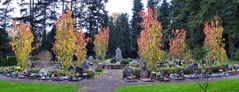 Kölner Friedhof im Herbst