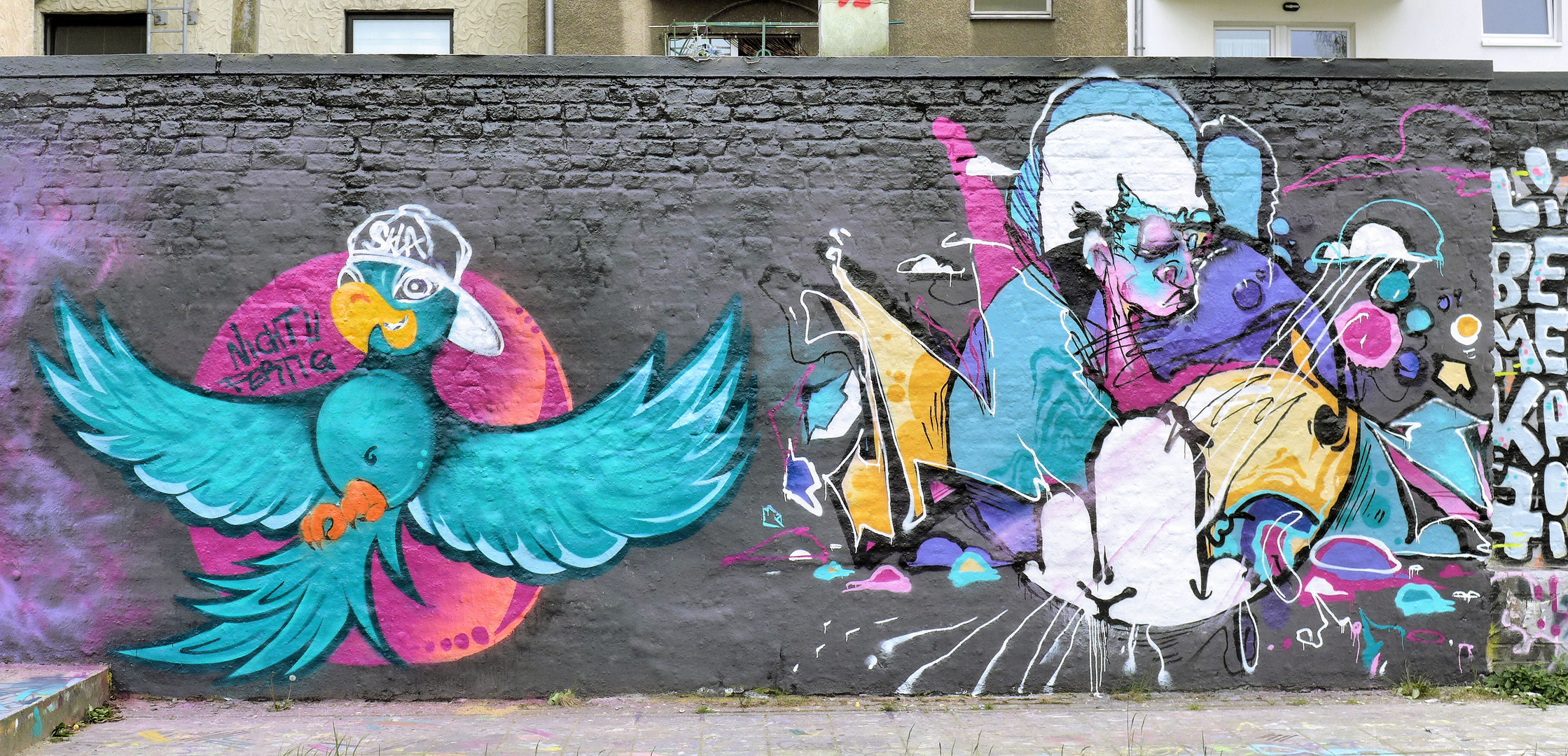 Kölner Graffiti