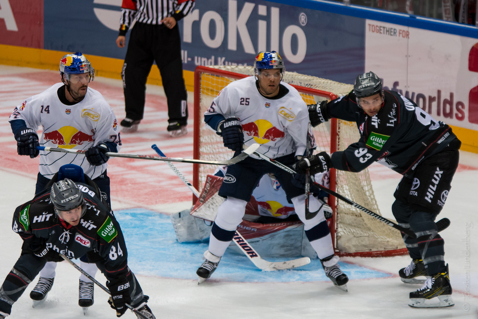 Kölner Haie 2016/17