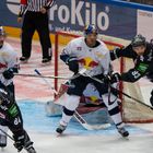 Kölner Haie 2016/17