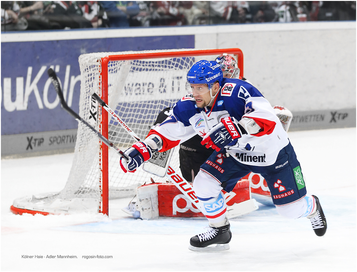 Kölner Haie - Adler Mannheim