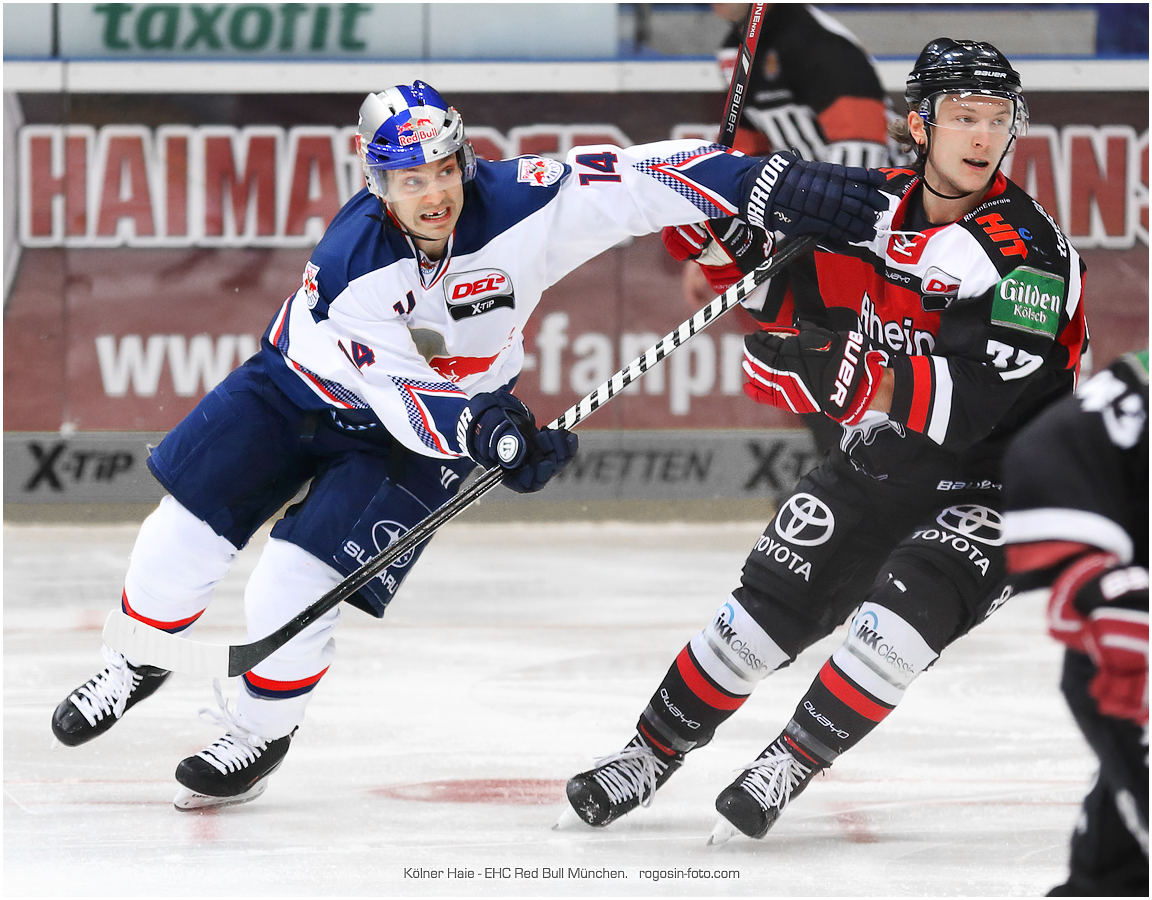 Kölner Haie - EHC Red Bull München. 2.