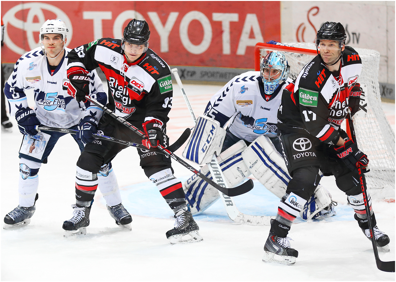 Kölner Haie 	- Hamburg Freezers