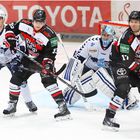 Kölner Haie 	- Hamburg Freezers