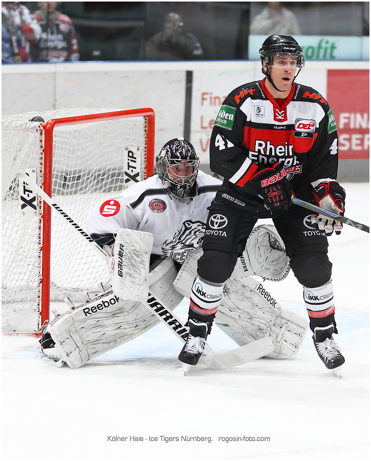 Kölner Haie - Ice Tigers Nürnberg.