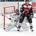 Kölner Haie - Ice Tigers Nürnberg.