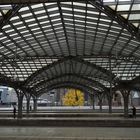 Kölner HBf im Herbst