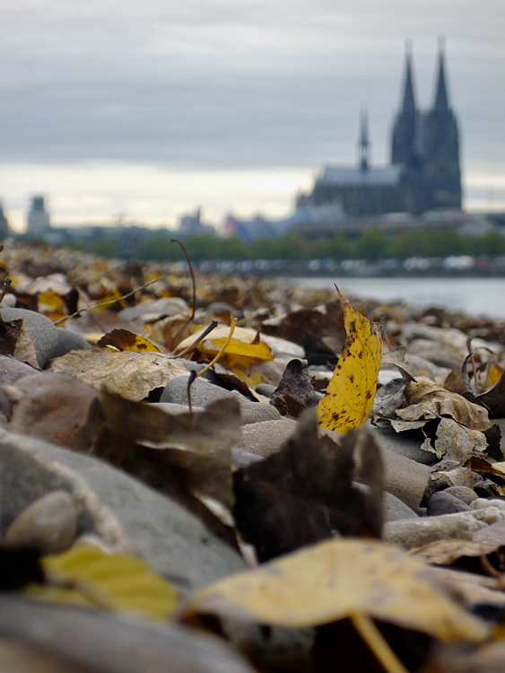 Kölner Herbst