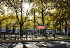 kölner herbst I