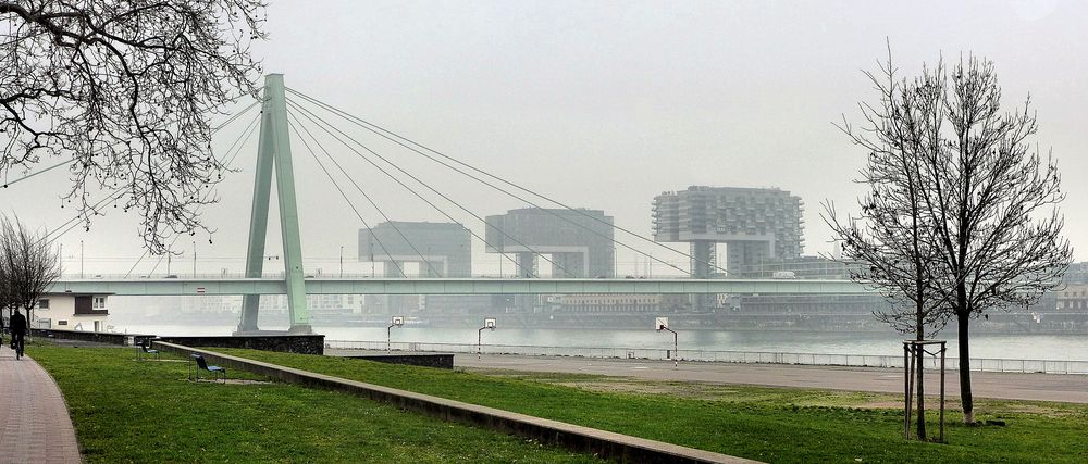 Kölner Kranhäuser im Nebel