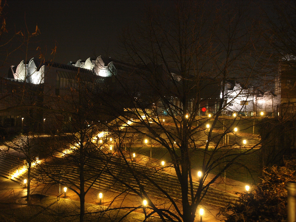 Kölner Lichter