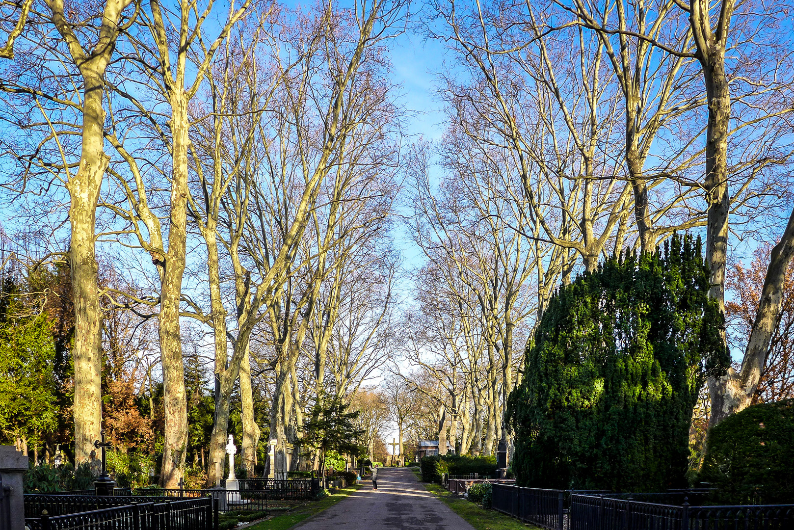 Kölner Melatenfriedhof