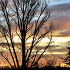 Kölner Morgenhimmel im neuen Jahr