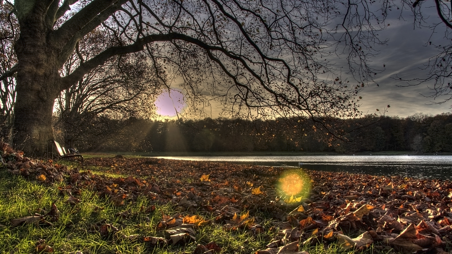 Kölner Parks in späten Herbststunden