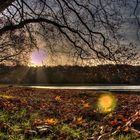 Kölner Parks in späten Herbststunden