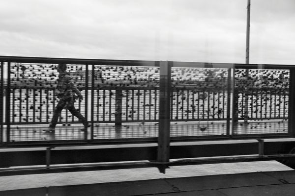 Kölner Rheinbrücke