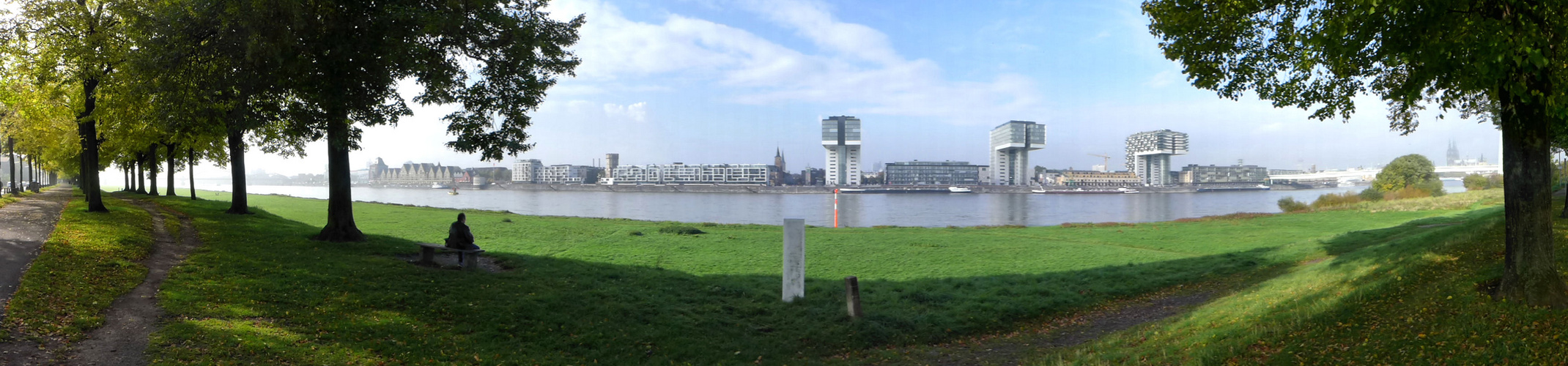 Kölner Rheinpanorama